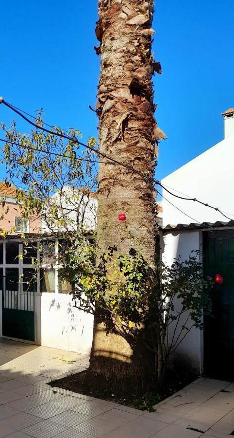 Casa Da Forja Ξενοδοχείο Pinhal Novo Εξωτερικό φωτογραφία